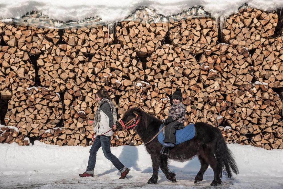 Backpacker Le Petit Baroudeur Vandrarhem Champéry Exteriör bild